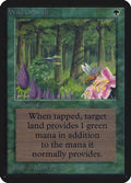 Wild Growth [Alpha Edition] (Moderately Played)