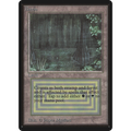 Bayou [Limited Edition Beta] (Lightly Played)