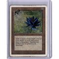 Black Lotus (HP) [Unlimited Edition] [PICS] (Heavy Play [pics])