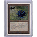 Black Lotus (HP #2) [Unlimited Edition] [PICS] (Heavy Play [pics])