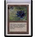 Black Lotus (LP) [Unlimited Edition] [PICS] (Lightly Played [pics])