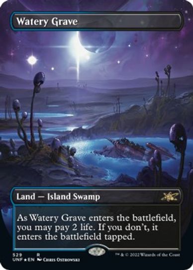 Watery Grave (Borderless) (Galaxy Foil) (529) [Unfinity] (Heavily Played Foil)