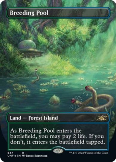 Breeding Pool (Borderless) (Galaxy Foil) (537) [Unfinity] (Moderately Played Foil)