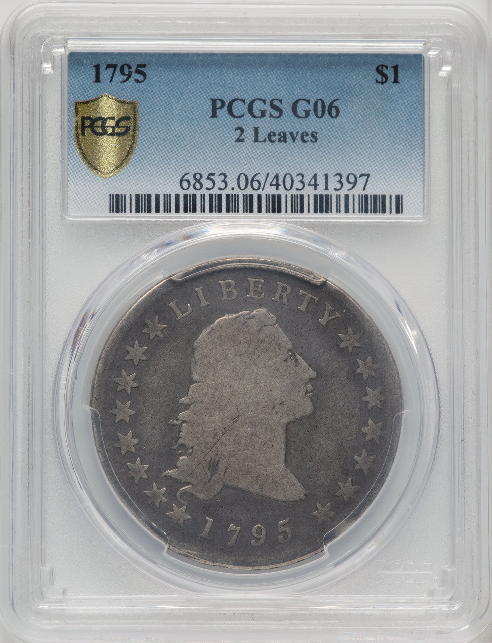 1795 S$1 Flowing Hair Two Leaves Early Dollar PCGS G6