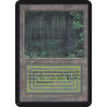 Bayou [Limited Edition Alpha] (Damaged)