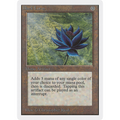 Black Lotus [Unlimited Edition] (Near Mint)