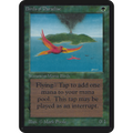 Birds of Paradise [Limited Edition Alpha] (Damaged)