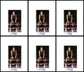 Rick Barry Autographed 8.5x11 Photo 12 Count Lot Golden State Warriors SKU #194017