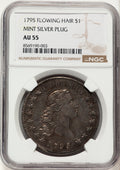 1795 Flowing Hair Silver Plug Early Dollar NGC AU55