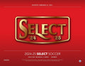 2024-25 Panini Select Premier League Soccer Hobby Mega 20 Box Case