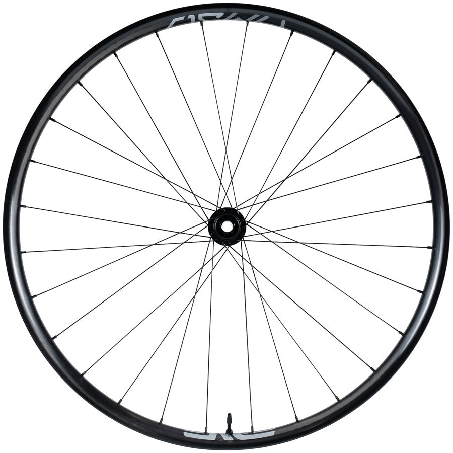 ENVE Composites AM30 Front Wheel - 29" 15 x 110mm Center-Lock Black 28H