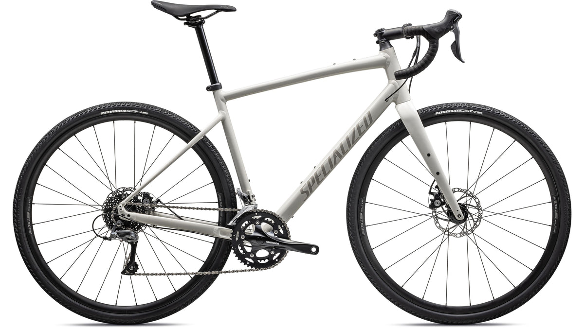2024 Specialized Diverge E5 (Gloss Birch / White Mountains / 61)