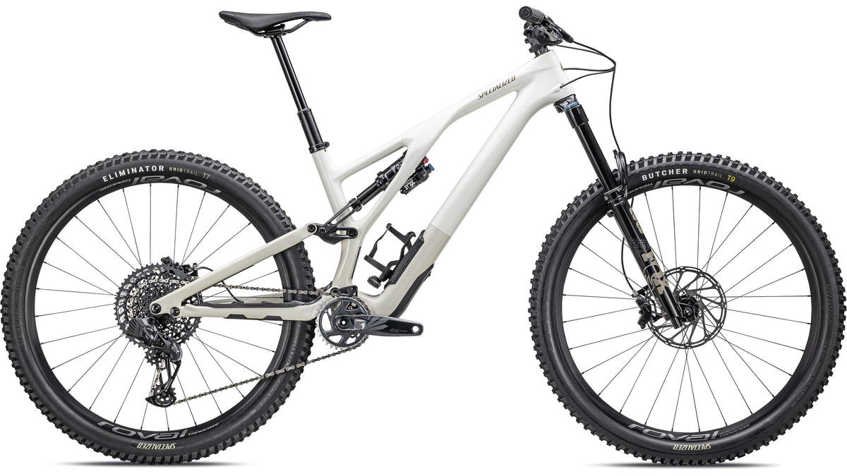2023 Specialized Stumpjumper EVO Expert  - SRAM GX Eagle AXS, FOX Performance Elite (Gloss Birch / Taupe / S1)