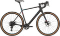 Salsa Warroad Apex 1 Bike - Raw, 650 (650b Carbon 59cm)