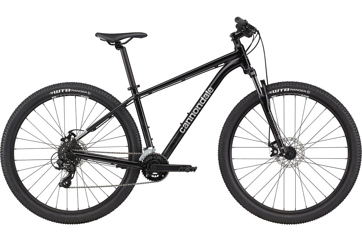 Cannondale Trail 8 (Grey / LG)