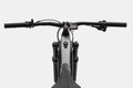 Cannondale Moterra Neo 4 (Impact Orange / LG)