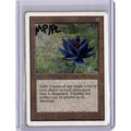 Black Lotus (MP/PL) [Unlimited Edition] [PICS] (MP/Played [pics])