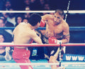 Fernando Vargas Autographed 16x20 Photo PSA/DNA #T14864