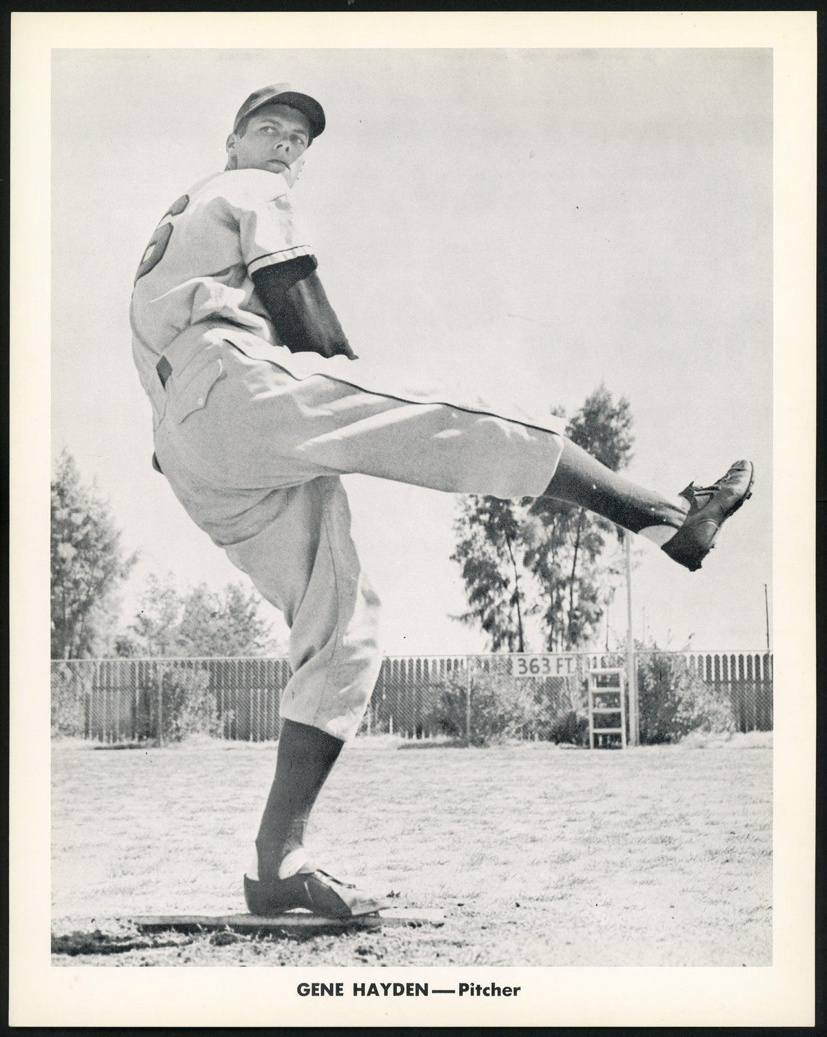 Gene Hayden 1956-59 Seattle Rainiers Popcorn 8x10 Premium Card SKU #151537