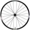 ENVE Composites AG28 Front Wheel - 650b, 12 x 100, Center-Lock, Black