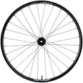 ENVE Composites AM30 Rear Wheel - 27.5", 12 x 148mm, Center-Lock, Micro Spline, Innerdrive 80pt, Black, 28H