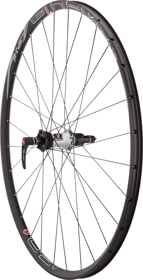 DT Swiss XM 1501 Spline One (XM1501 29 Rear Wheel 12x142mm XD Driver for XX1 6- bolt Disc)