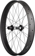 Quality Wheels CF-1 Carbon Fat Rear Wheel (Alex DT Swiss 350 Disc - 26" Fat 12 x 197mm 6-Bolt HG 11 Black)