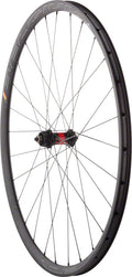 Quality Wheels DT 240 / Belgium+ Front Wheel (240/Belgium+ - 700 15 x 100mm Center-Lock Black Clincher)