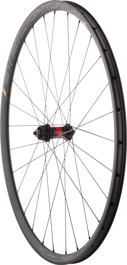 Quality Wheels DT 240 / Belgium+ Front Wheel (240/Belgium+ - 700 15 x 100mm Center-Lock Black Clincher)