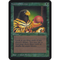 Natural Selection [Limited Edition Alpha] (Near Mint)