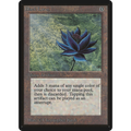 Black Lotus [Limited Edition Beta] (Lightly Played)