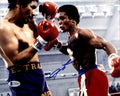 Sugar Ray Leonard Autographed 8x10 Photo vs. Augustin Estrada Beckett BAS #U84485