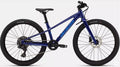 Specialized Riprock 24 (Gloss Majesty Blue Metallic-Sky Blue)