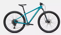 Specialized Rockhopper Comp Gloss Teal Tint Aluminum (MD)